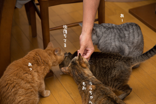 肉フェス_d0355333_17291981.jpg