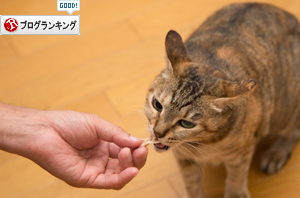 肉にかける情熱_d0355333_17292025.jpg