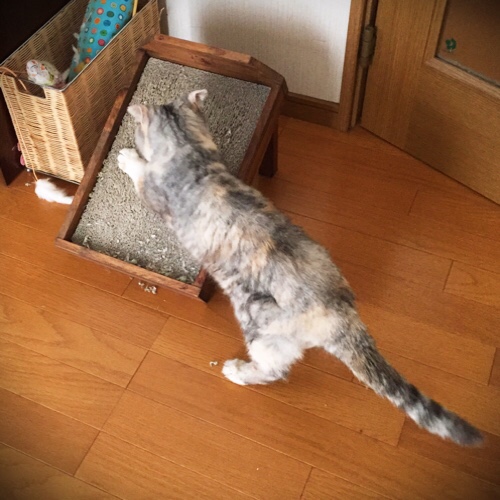 みんなこれから行く道だから_d0355333_17292641.jpg