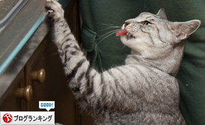 なっちゃん頑張ったよ_d0355333_17293738.jpg