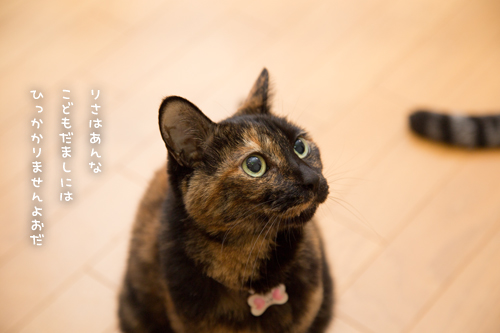 こどもだまし_d0355333_17294522.jpg
