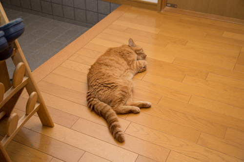 玄関が好きな理由_d0355333_17295301.jpg