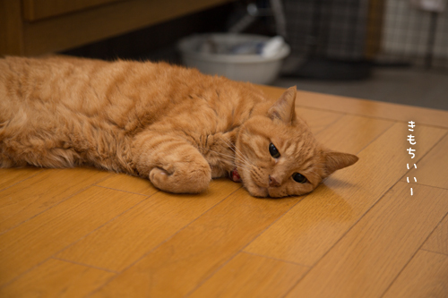 玄関が好きな理由_d0355333_17295352.jpg
