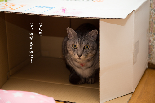 そこに理由はない_d0355333_17295624.jpg