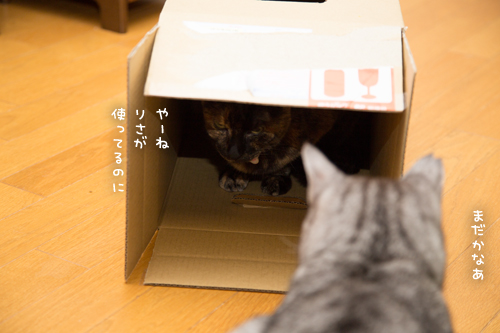 待ってられない_d0355333_17295807.jpg