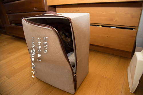 そろそろしまいたい_d0355333_17301268.jpg