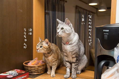 新しいおいしさ_d0355333_17301834.jpg