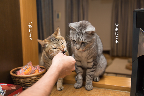 新しいおいしさ_d0355333_17301855.jpg