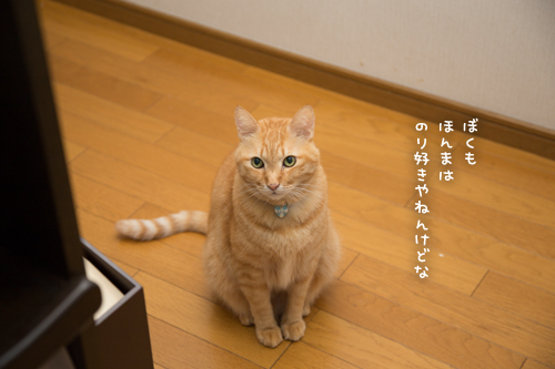 新しいおいしさ_d0355333_17301888.jpg
