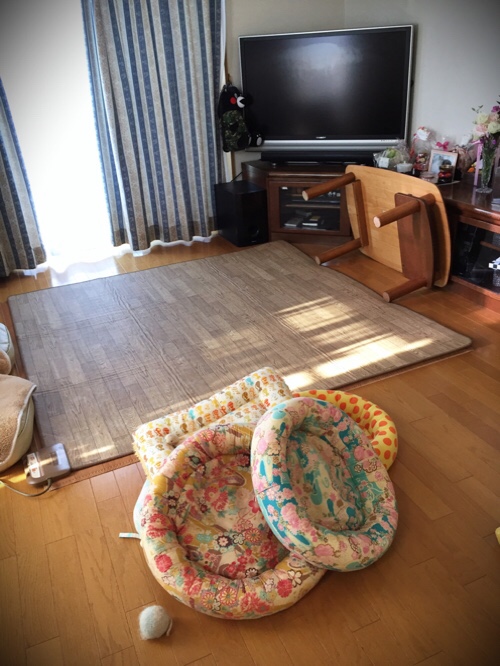 掃除機をかけたら_d0355333_17302640.jpg