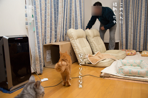 ダンボール一個でいっぱい遊べる_d0355333_17303179.jpg