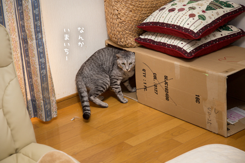 設置場所が気になる_d0355333_17303352.jpg