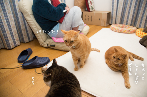空気読めない系男子かも_d0355333_17304363.jpg