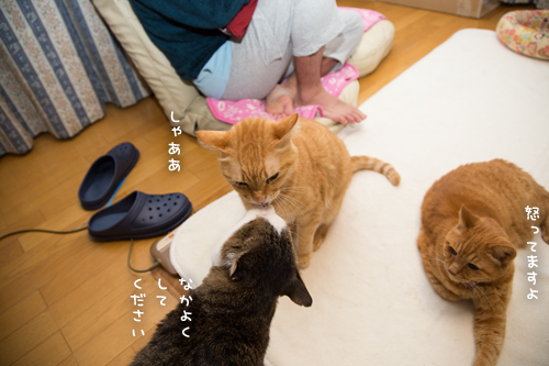 空気読めない系男子かも_d0355333_17304381.jpg