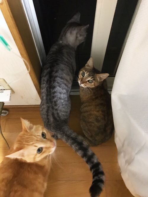 夜風に吹かれて_d0355333_17305967.jpg
