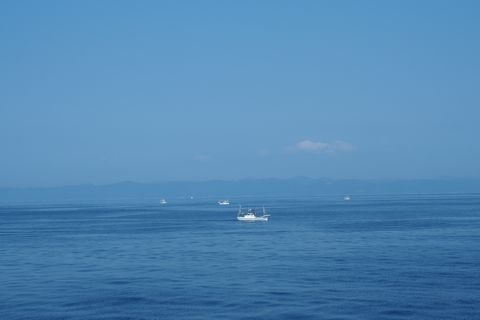 b0042334_23541910.jpg
