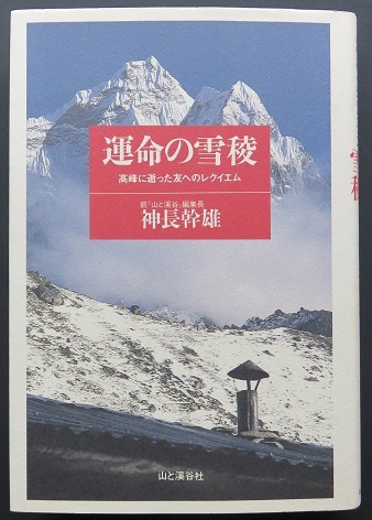 エヴェレスト 神々の山嶺 サマースノーはすごいよ