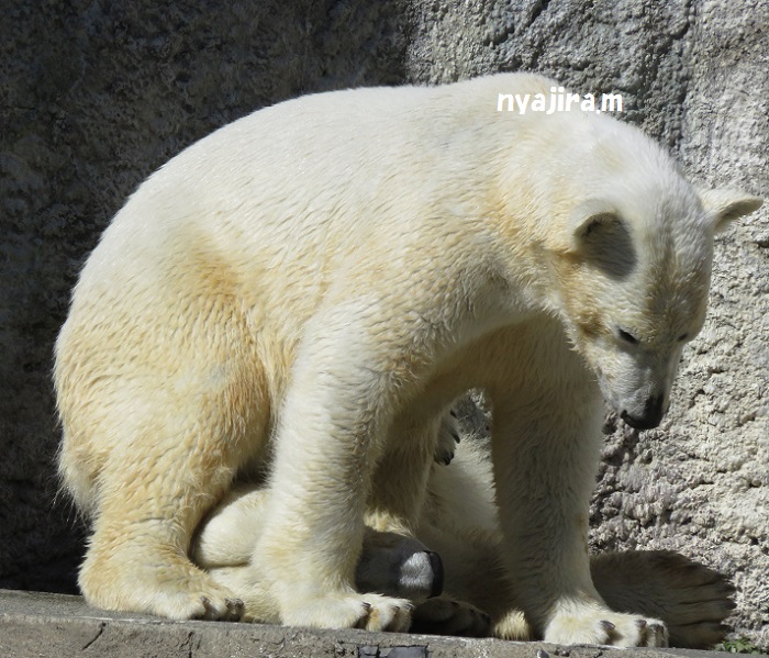 f0002743_1203711.jpg