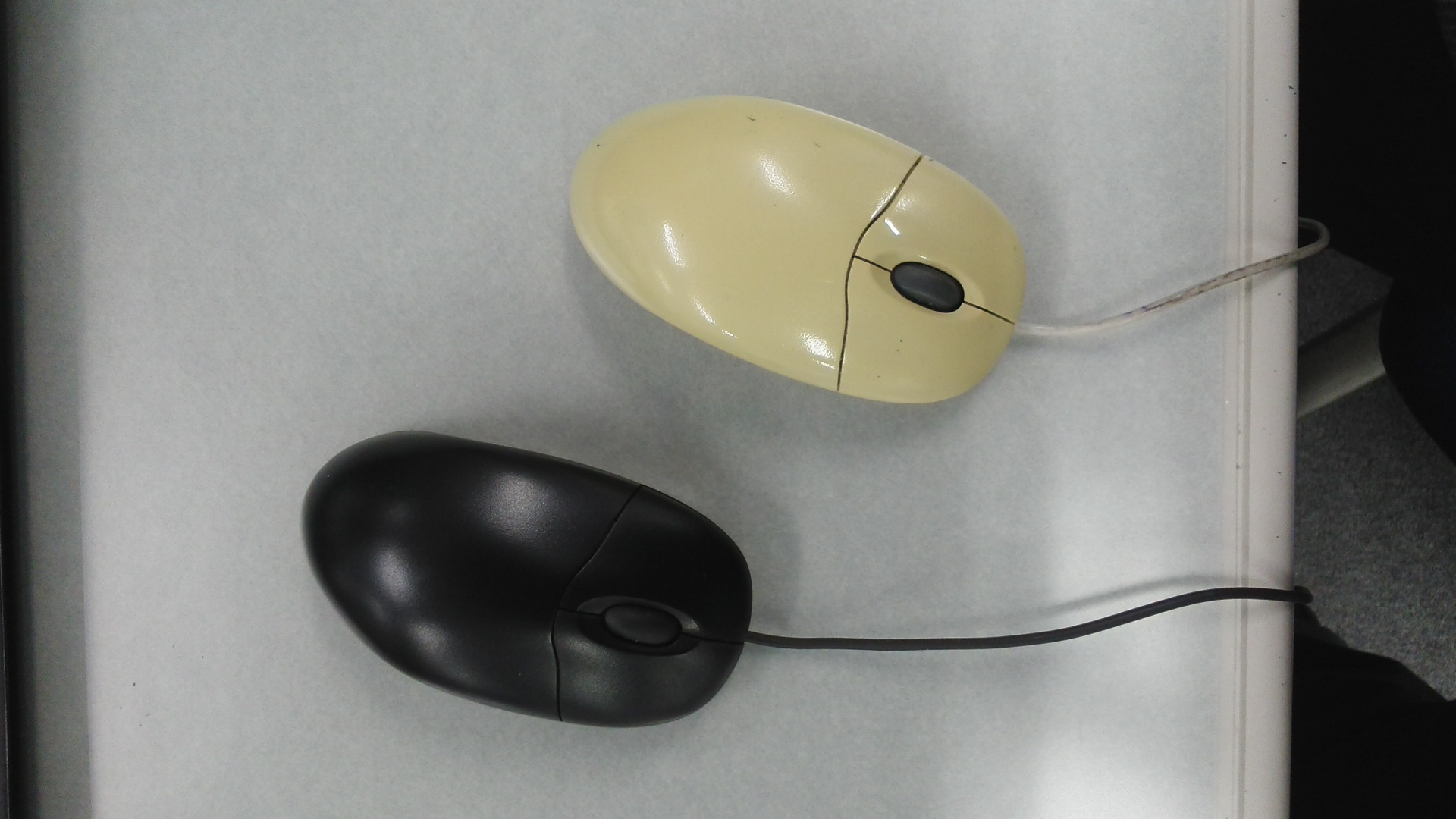 b0139849_13335693.jpg