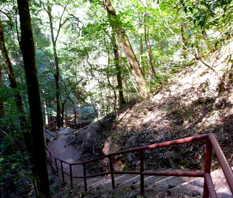 鳳来寺の阿寺の七滝_c0294553_15125595.jpg