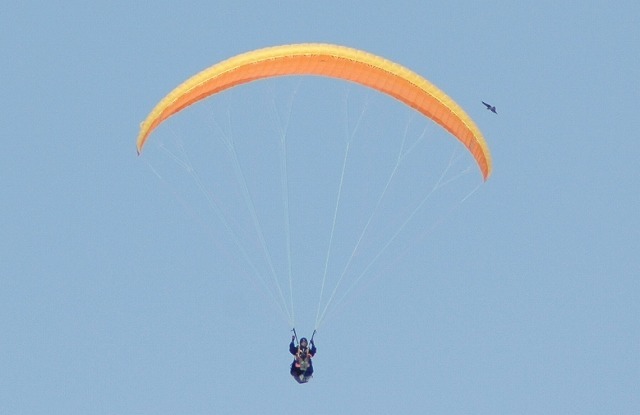 a0346455_16471872.jpg