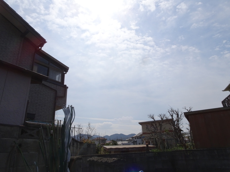 c0108460_20453486.jpg