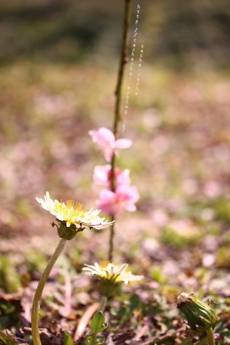 b0366862_22185550.jpg