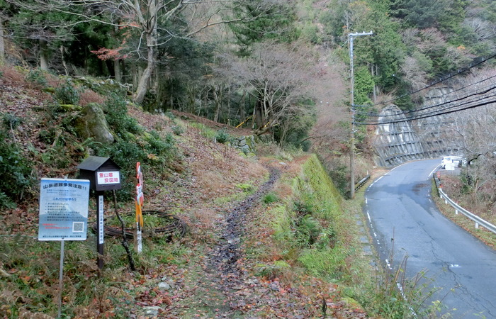 No462 滋賀　鈴鹿山系・ちょっと変わった名前の日本コバ_b0185573_4574258.jpg