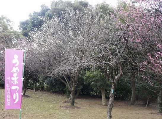 c0122791_20213843.jpg