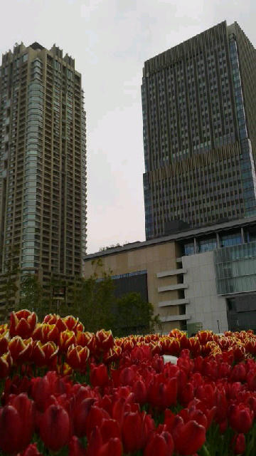 e0184094_14505064.jpg