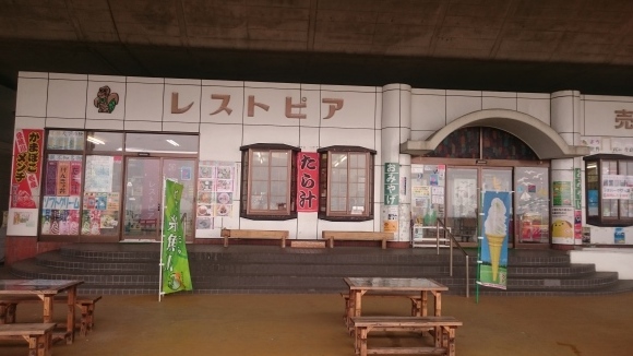 ★ 海開き! ★_d0235898_19354974.jpg