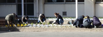 b0364601_17102711.jpg