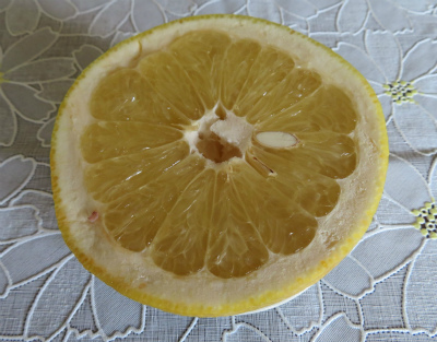 c0125501_21433624.jpg