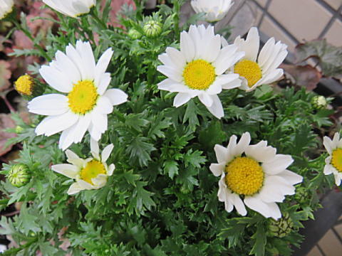 d0046702_07132116.jpg