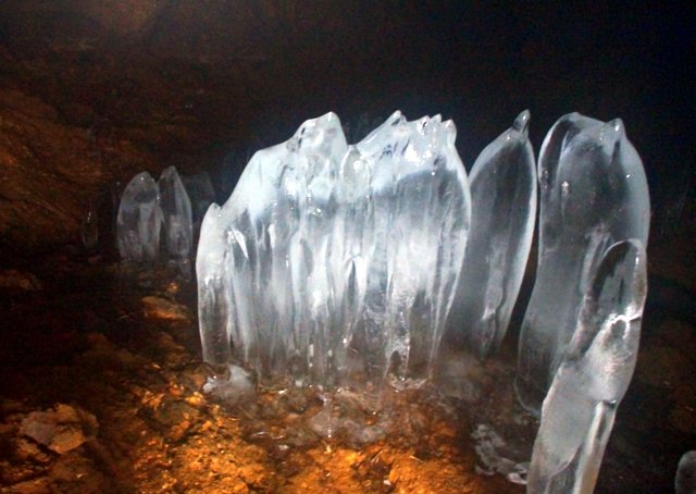 a0345007_16114631.jpg
