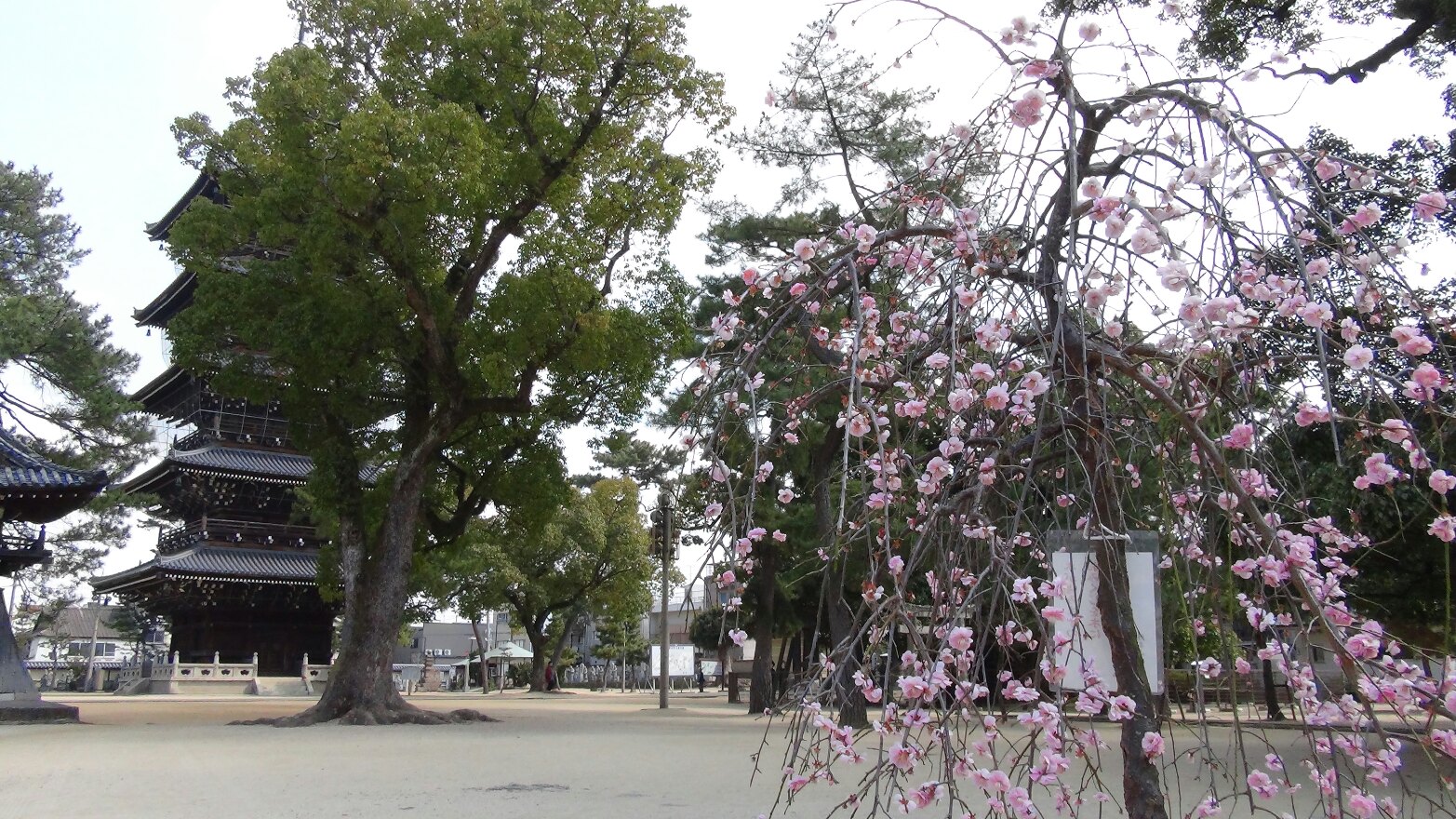 f0231709_2204129.jpg