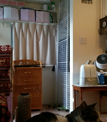 e0144012_11455523.jpeg
