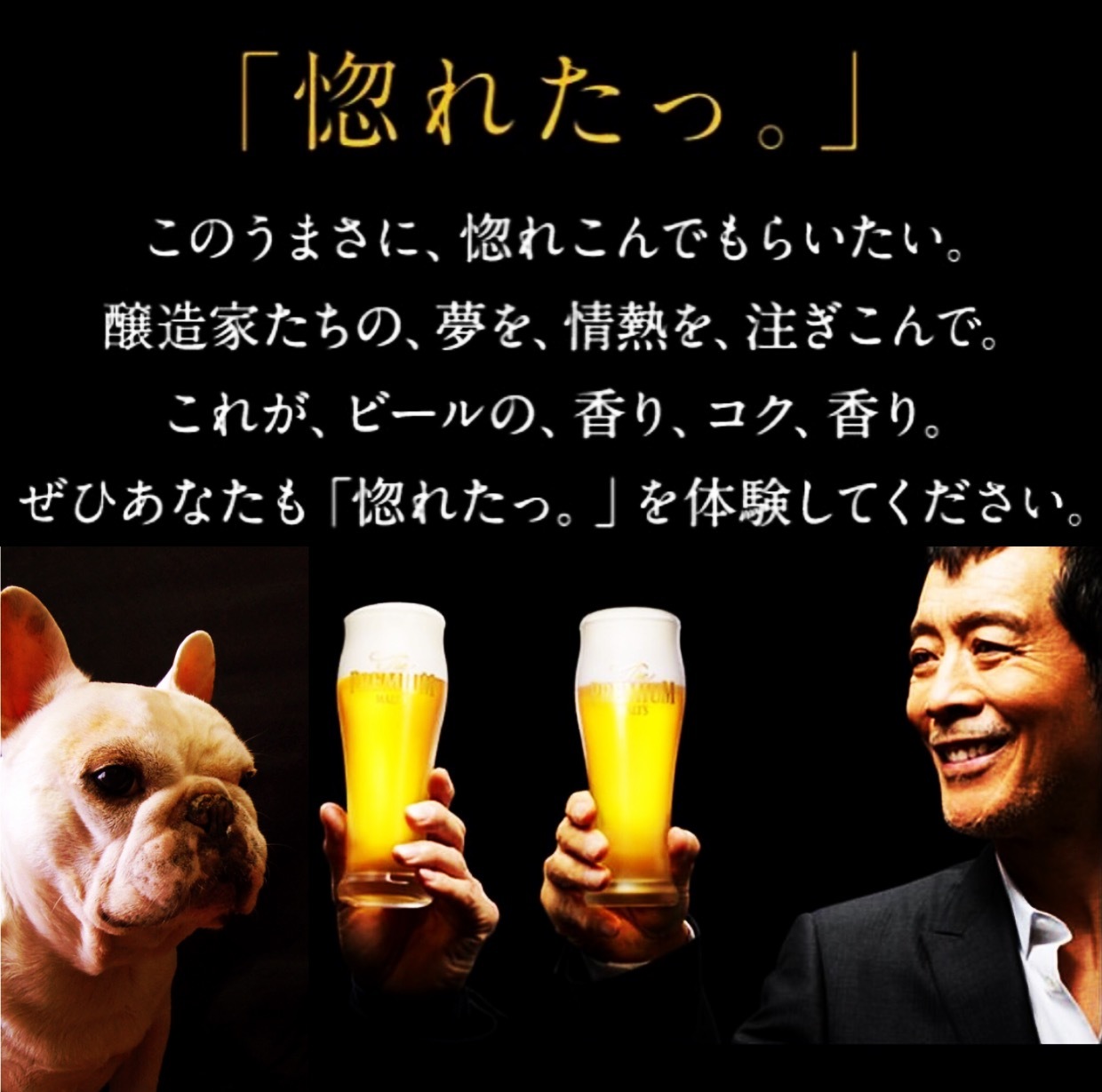a0158613_16093185.png