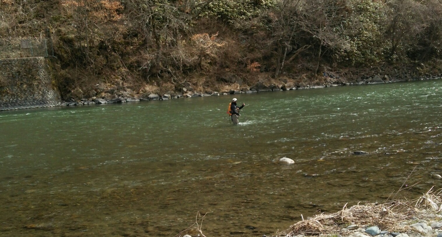 a0236914_855415.jpg