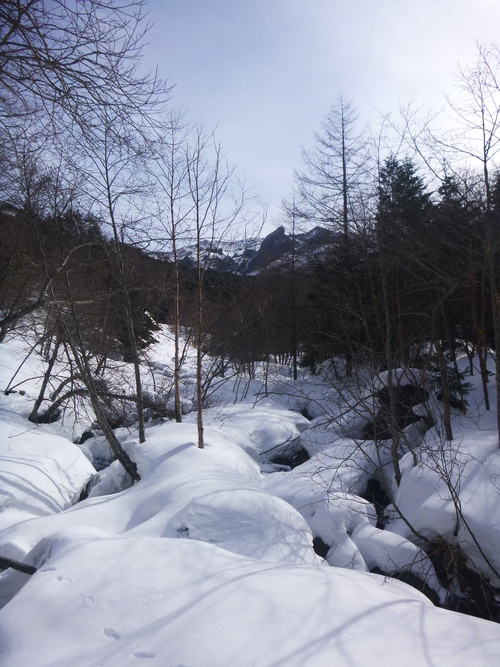 2017.3　八ヶ岳・アイスキャンディー！_a0236914_9444688.jpg