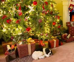 季節はずれの「Xmasの夢」_e0257524_11135471.jpg