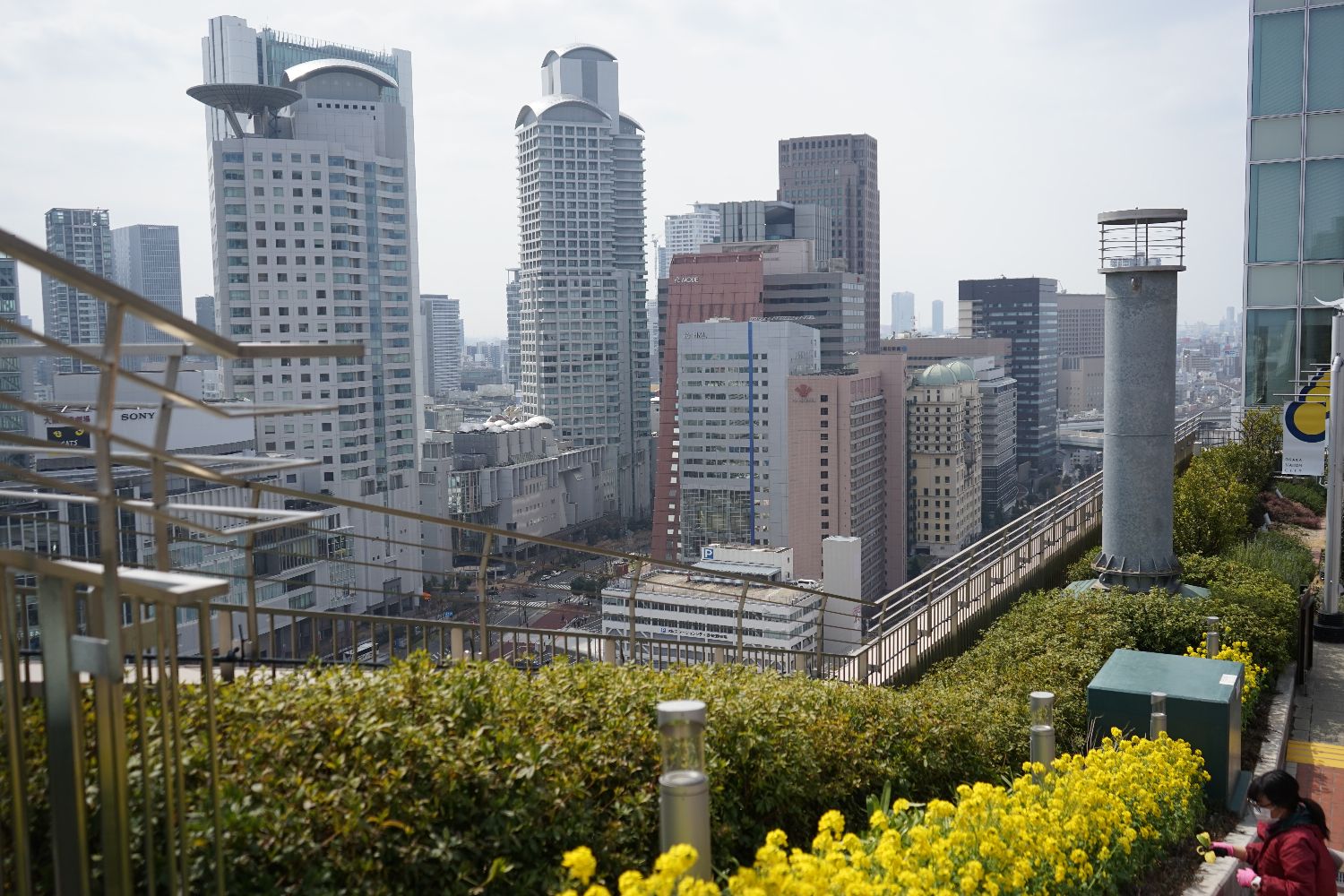 b0069128_10534084.jpg