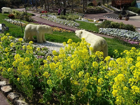 大阪府立花の文化園の花_b0299042_16572748.jpg