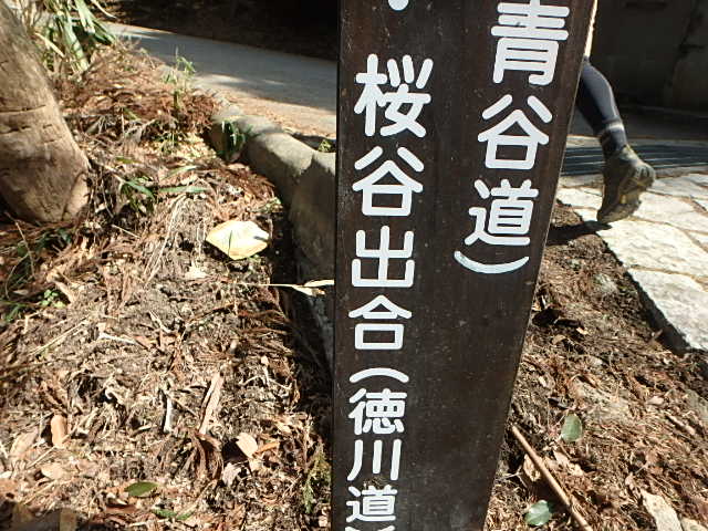摩耶山 マムシ谷_f0334143_7525769.jpg