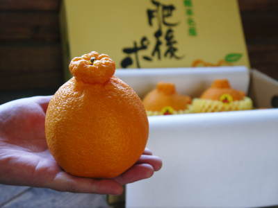 デコポン(肥後ポン)　柑橘王こと『デコポン』　おかげさまで大好評！今年はかなりのハイペースで出荷中です!!_a0254656_18042696.jpg