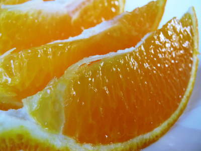 デコポン(肥後ポン)　柑橘王こと『デコポン』　おかげさまで大好評！今年はかなりのハイペースで出荷中です!!_a0254656_18453522.jpg