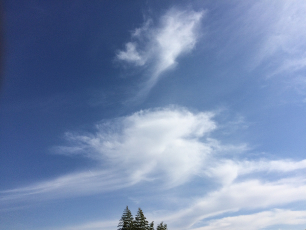 f0362457_13151298.jpg