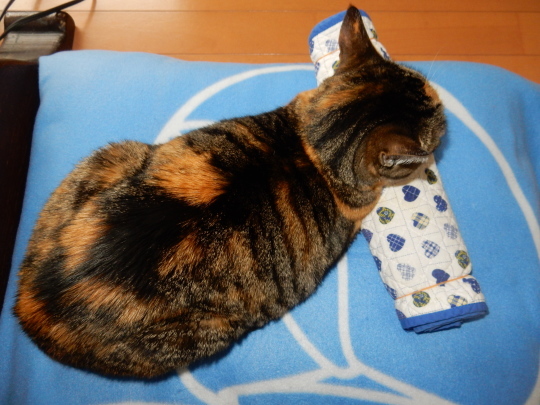 ’17,3,15(水)グレーのベストが出来たYO!_f0060461_09474678.jpg