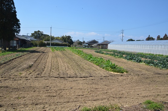 f0186462_01401135.jpg
