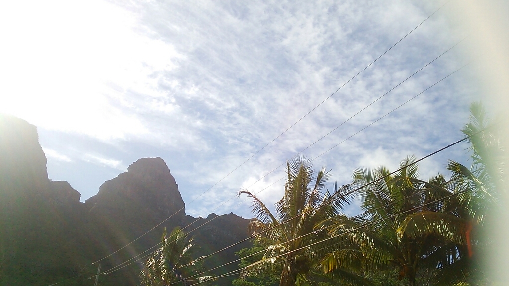 c0351863_01134485.jpg